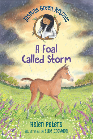 Jasmine Green Rescues A Foal Called Storm by Helen Peters 9781536222715 PenguinRandomHouse Books