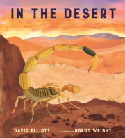 In the Desert 