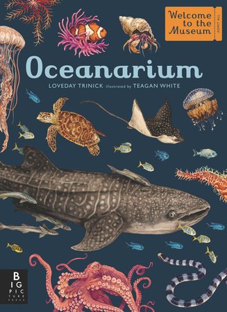 Oceanarium by Loveday Trinick 9781536223811 PenguinRandomHouse