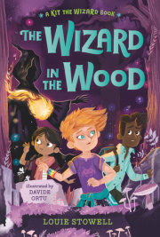The Wizard in the Wood 