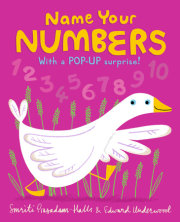 Name Your Numbers 