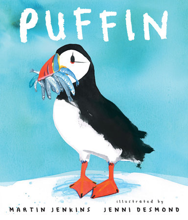 TIME for Kids  Puffins on the Rise