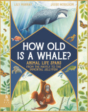 How Old Is a Whale? 