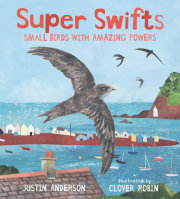 Super Swifts: Small Birds with Amazing Powers 