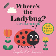 Where’s the Ladybug?: A Stroller Book 