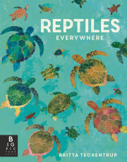 Reptiles Everywhere 