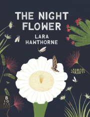 The Night Flower: The Blooming of the Saguaro Cactus 