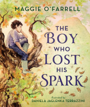 The Boy Who Lost His Spark 