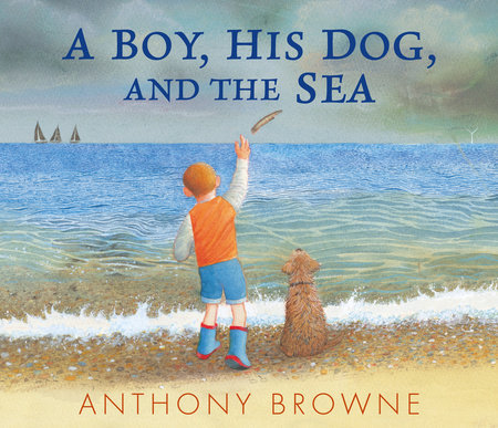 Hide and Seek: Browne, Anthony, Browne, Anthony: 9781536202601: :  Books