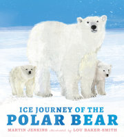 Ice Journey of the Polar Bear