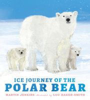Ice Journey of the Polar Bear 