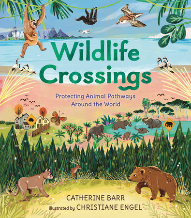 Wildlife Books - Wildlife Around the World