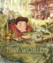 Tiny Worlds 