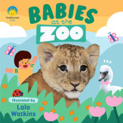 Babies at the Zoo 