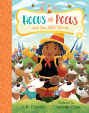 Hocus and Pocus and the Wild Wands 