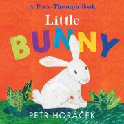 Little Bunny 