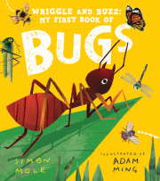 Wriggle and Buzz: My First Book of Bugs 
