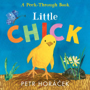 Little Chick 