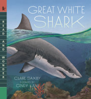 Great White Shark 