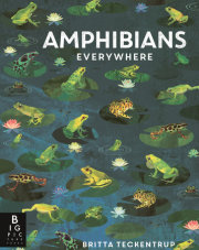 Amphibians Everywhere 