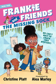Frankie and Friends: The Missing Sock 