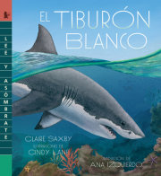 El tiburón blanco 