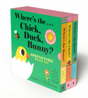 Where's the . . . Chick, Duck, Bunny? Springtime Boxed Set 