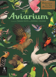 Aviarium 