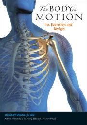 The Body in Motion 