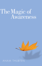 The Magic of Awareness 