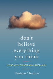 Don't Believe Everything You Think 