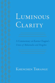 Luminous Clarity 