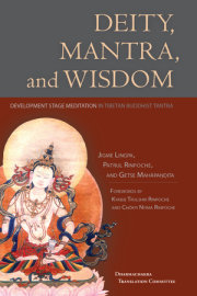 Deity, Mantra, and Wisdom 