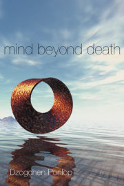 Mind Beyond Death 