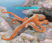 About Mollusks 