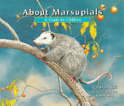 About Marsupials 