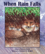 When Rain Falls 