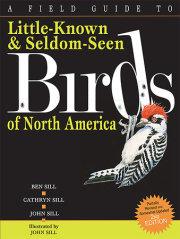 A Field Guide To Little-Known And Seldom-Seen Birds Of North America 