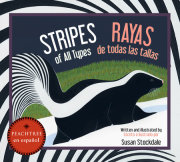 Stripes of All Types / Rayas de todas las tallas 