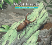 About Insects 