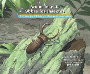 About Insects / Sobre los insectos