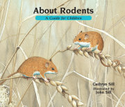 About Rodents