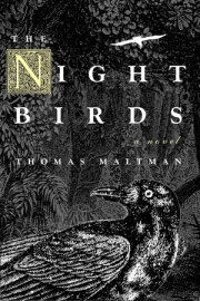 The Night Birds 