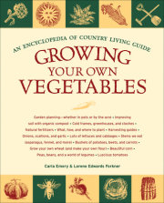 Growing Your Own Vegetables 