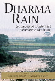 Dharma Rain 