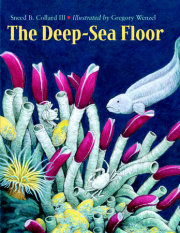 The Deep-Sea Floor