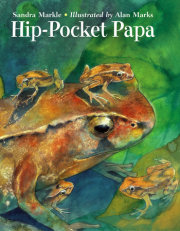 Hip-Pocket Papa 