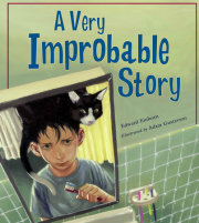 A Very Improbable Story 