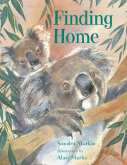 Finding Home 