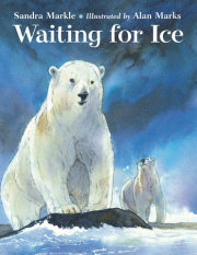 Waiting for Ice 